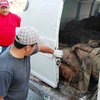 В Мексике найдена братская могила погибших от рук наркомафии