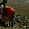Жительница Чили открыла шахту по добыче меди