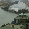 В Китае образовался крупный затор на реке