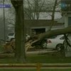 В США борются с последствиями серии мощных торнадо