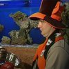 Павлик спрогнозировал победу донецкого "Шахтёра"