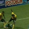 Колумбийский футболист, убивший сову, напал на лежачего соперника