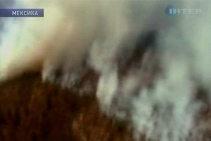 Мексика попросила США помочь в борьбе с лесными пожарами