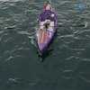 Британка Роз Севедж собирается преодолеть Индийский океан на веслах