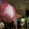 В Нью-Йорке открылась выставка динозавров