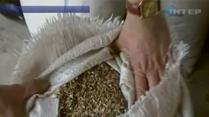 У жителя Днепропетровской области изъяли 600 килограмм маковой соломки