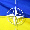 МИД: Украина и НАТО продолжат сотрудничать