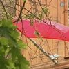 В ВР предлагают поднять в День Победы красные знамена вместе с государственными