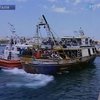 На Лампедузу продолжают прибывать мигранты