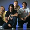 Новый альбом Foo Fighters возглавил американский хит-парад