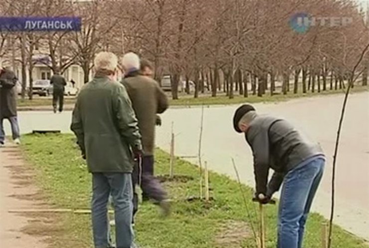 В Луганске открыли Аллею в память о погибших шахтерах