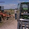 Несмотря на кризис, украинцы не хотят уезжать из Португалии