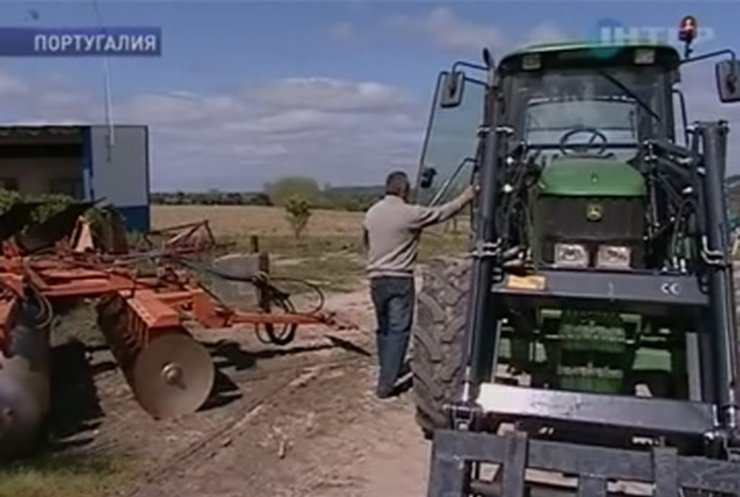 Несмотря на кризис, украинцы не хотят уезжать из Португалии