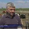 В Украине формируется рынок "органических" продуктов