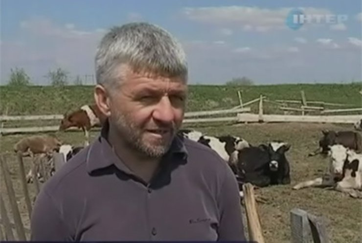 В Украине формируется рынок "органических" продуктов