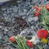 Пьяный водитель задавил троих людей на остановке в Симферополе