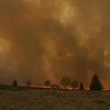 Бельгия охвачена лесными пожарами