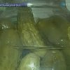 Украинцы готовятся к экспорту соленых огурцов в страны Ближнего Востока