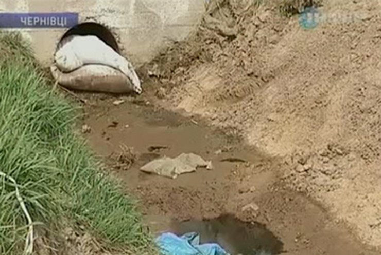 Черновицкая мусоросвалка отравляет местных жителей