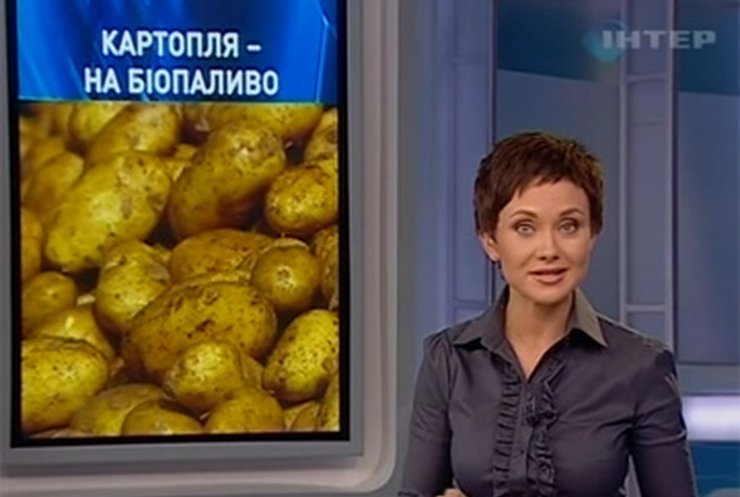 Украинцы собираются делать биотопливо из картофеля