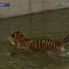 В Киевском зоопарке открылся летний сезон