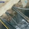 На "Фукусиме" зафиксировали очередную утечку радиации