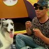 В Пекине открыли кафе для собак