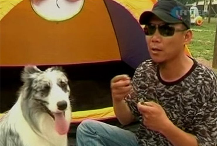 В Пекине открыли кафе для собак