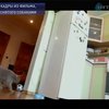 В Чернигове собаки сняли фильм о коте