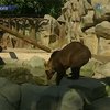 Столичная администрация восстанавливает киевский зоопарк