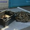 Задержанные в Черкасской области браконьеры оказались сотрудниками МВД