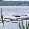 На Днепропетровщине назревает экологическая катастрофа?