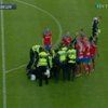 В Швеции фанат избил вратаря во время игры