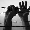 ЕС обеспокоен ухудшением соблюдения прав человека в Украине