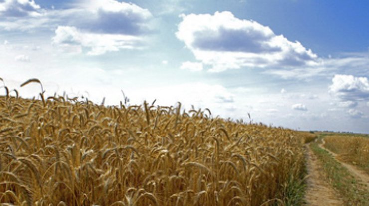 SFС: Украина и Россия могут увеличить экспорт зерна