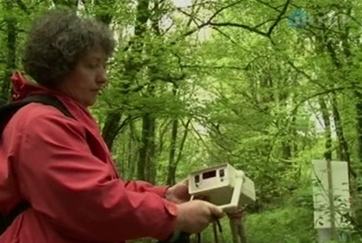 Во французской Бретани нашли радиоактивный лес