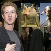 Основатель Facebook начал сам убивать животных для своего стола
