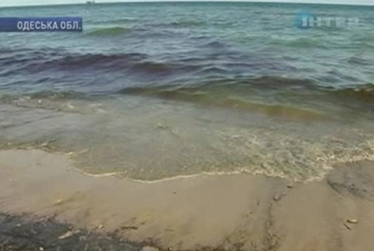 Ильичевские пляжи практически очистили от нефтепродуктов