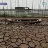 В Китае ждут дождей: Урожай риса под угрозой