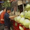 Китайские арбузы стали опасными из-за огромного количества нитратов
