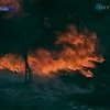 Флорида страдает от лесных пожаров