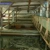 В Днепропетровской области водопроводную воду признали непригодной для питья