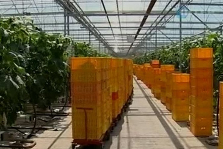 В Европе набирает обороты "овощной" скандал