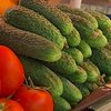 Россия запретила импорт овощей из всех стран ЕС