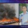 ООН хочет ударить по наркобизнесу легализацией легких наркотиков