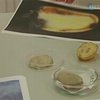 Россия запретила ввоз египетского картофеля