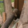 В России продолжают тушить военные склады