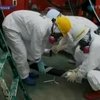 На Фукусиме произошел рекордный выброс радиации
