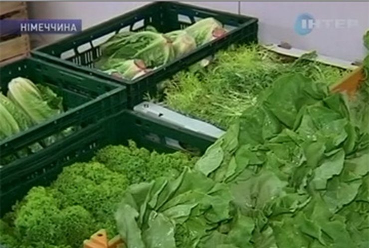 Соя может стать причиной отравлений в Европе