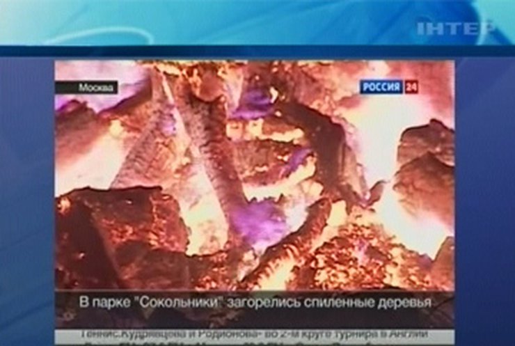 В Москве горел парк "Сокольники"